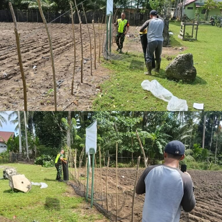Gotong Royong Babinsa dan Warga Lindungi Kebun dari Gangguan Ternak
