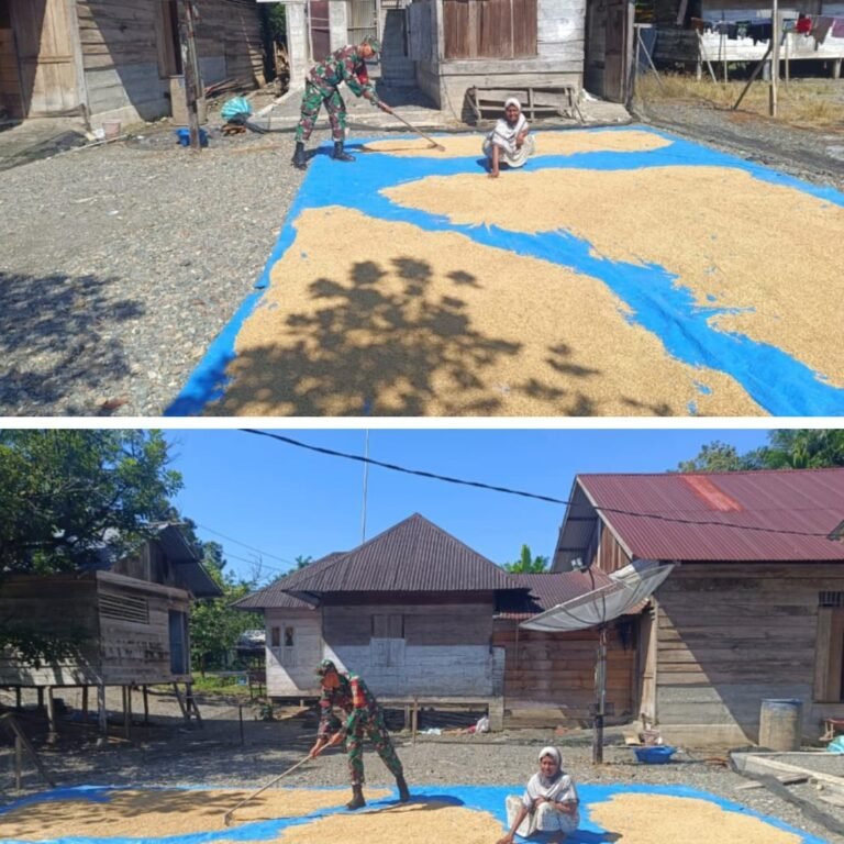 Pendampingan Babinsa Dukung Pengolahan Hasil Panen Petani