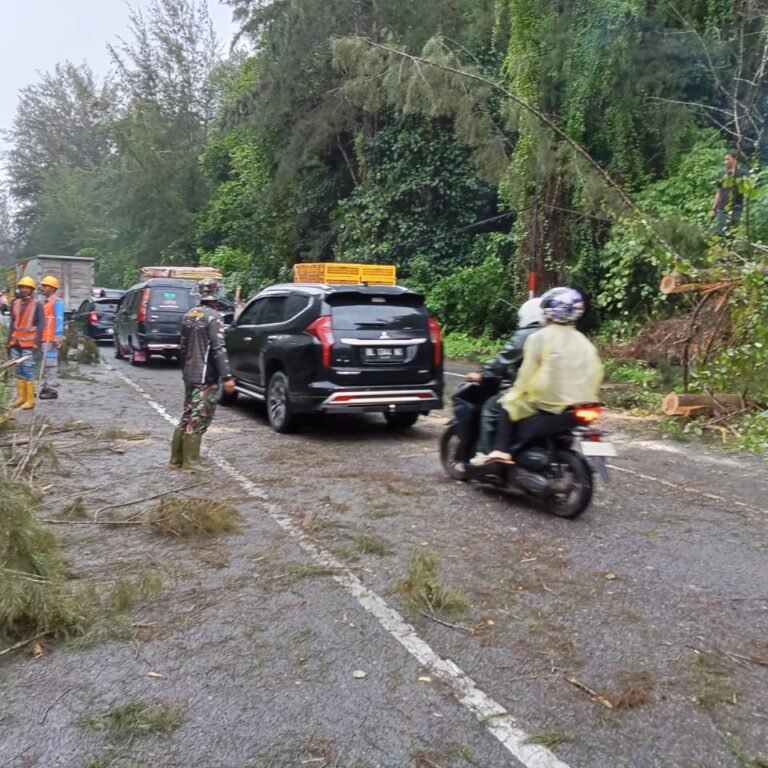 Pohon Cemara Tumbang di Jalan Banda Aceh–Meulaboh, TNI-Polri dan Warga Lakukan Pembersihan
