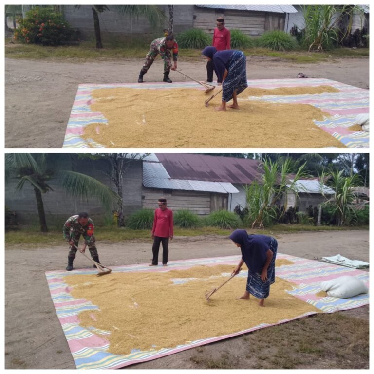 Babinsa Koramil Woyla Barat Bantu Petani di Desa Alue Perman