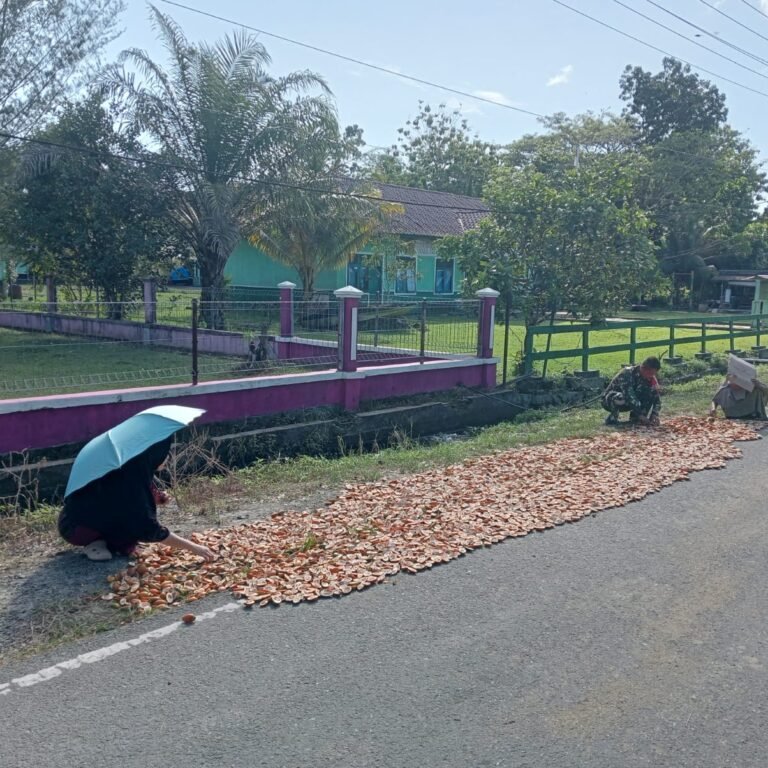 Pendampingan Babinsa Tingkatkan Kualitas Hasil Panen Pinang di Simeulue Tengah