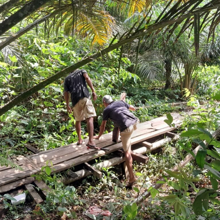 Semangat Gotong Royong, Babinsa Koramil 1203-04/Simpang Hulu Bantu Warga Bangun Jembatan Desa