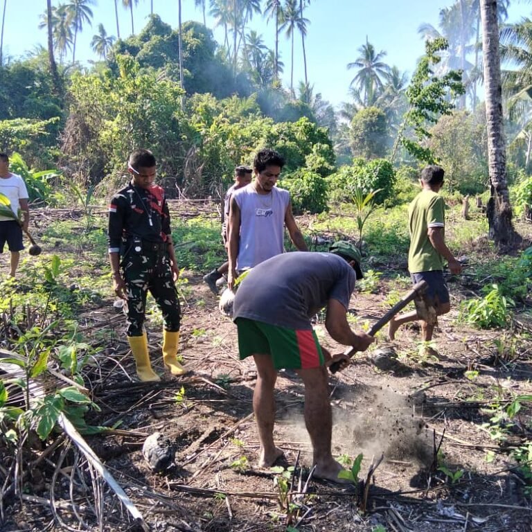 Penanaman Pohon Produktif TMMD Labuha Dukung Ketahanan Pangan Warga