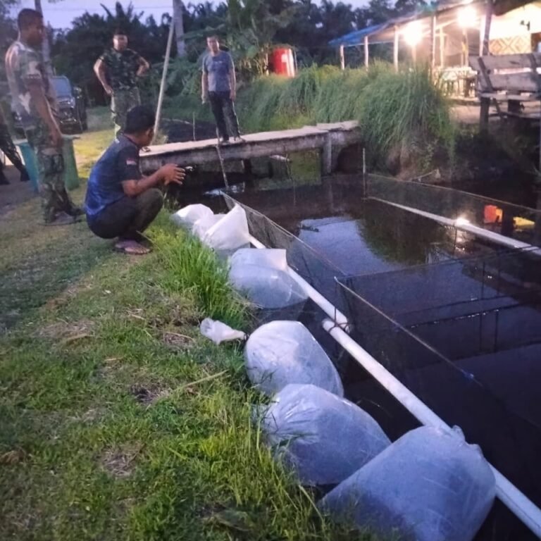 Langkah Nyata Korem 012/TU, Perkuat Pangan Lewat Tebar Benih Lele