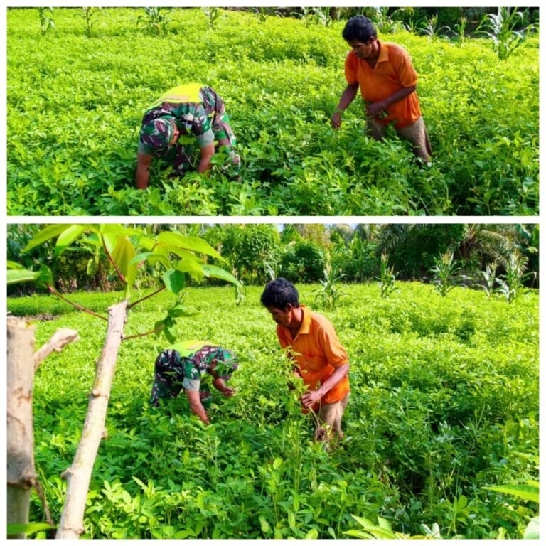 Babinsa Ajak Warga Ubah Lahan Tidur Jadi Sumber Penghasilan