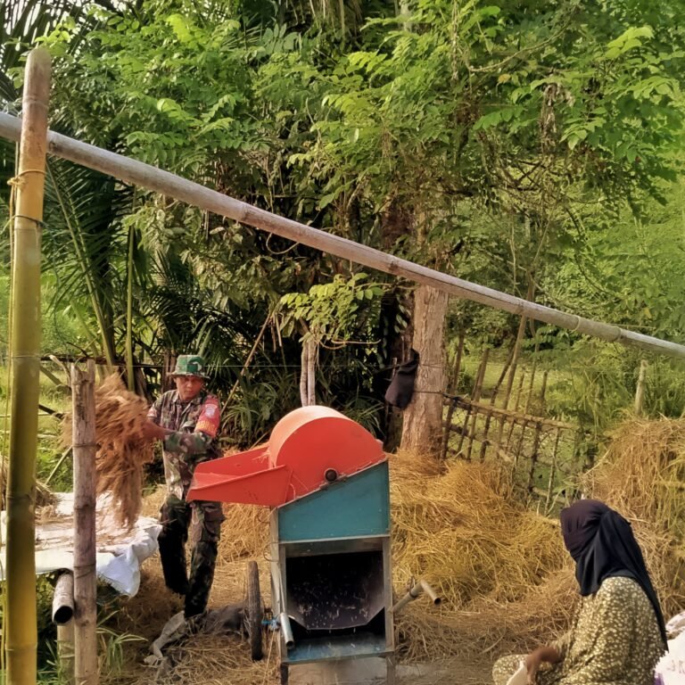 Babinsa Kodim 0115/Simeulue Perkuat Ketahanan Pangan Lewat Pendampingan Petani