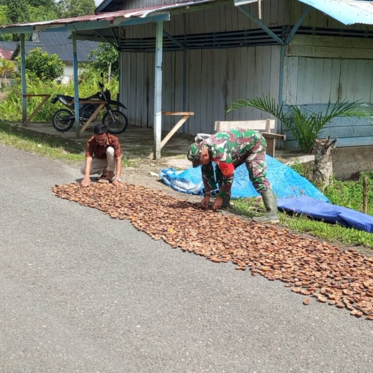 Pendampingan Babinsa Bantu Tingkatkan Kualitas Hasil Panen Pinang Warga