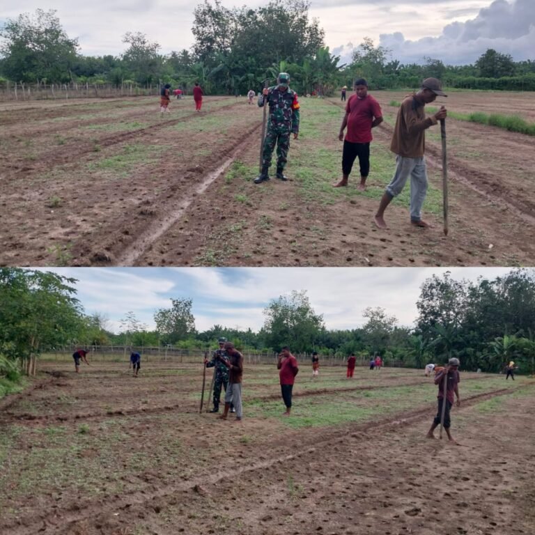 Kodim 0105/Aceh Barat Hadir di Tengah Petani untuk Dukung Kesejahteraan Masyarakat Desa