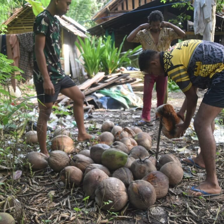 Kehadiran Satgas TMMD 128 Kodim 1003/HSS Dirasakan Warga, Bantu Persiapan Kelapa ke Pasar