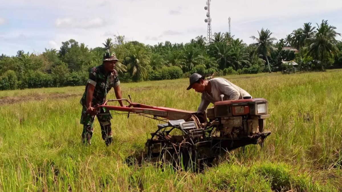 Babinsa Aceh Barat Dampingi Petani Olah Lahan Pertanian Jelang Tanam Padi