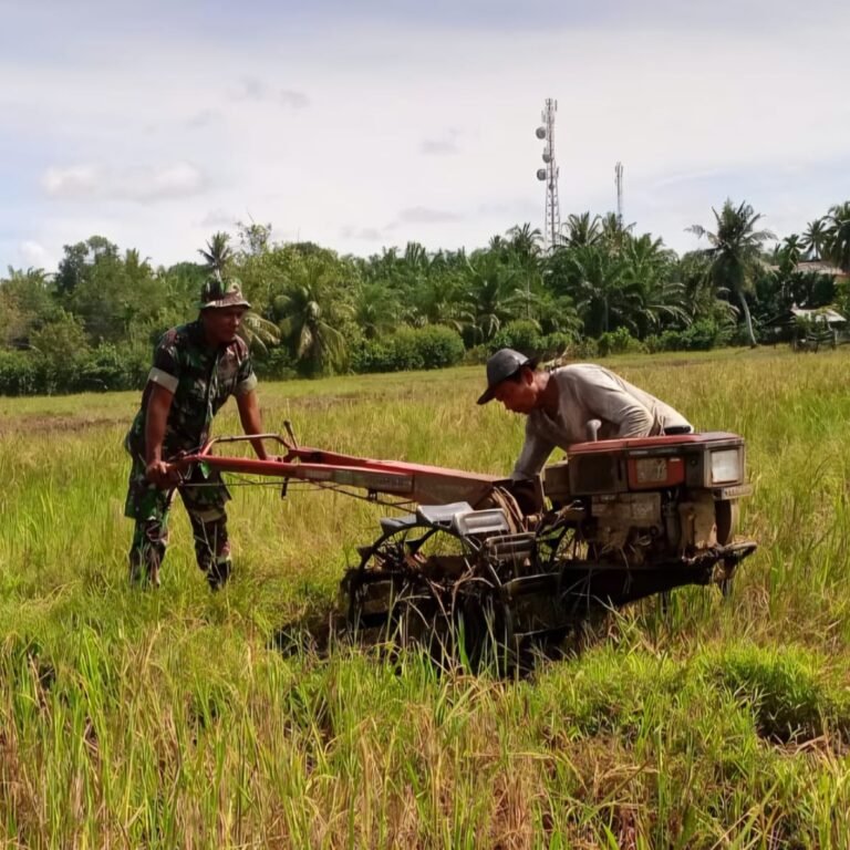 Babinsa Aceh Barat Dampingi Petani Olah Lahan Pertanian Jelang Tanam Padi