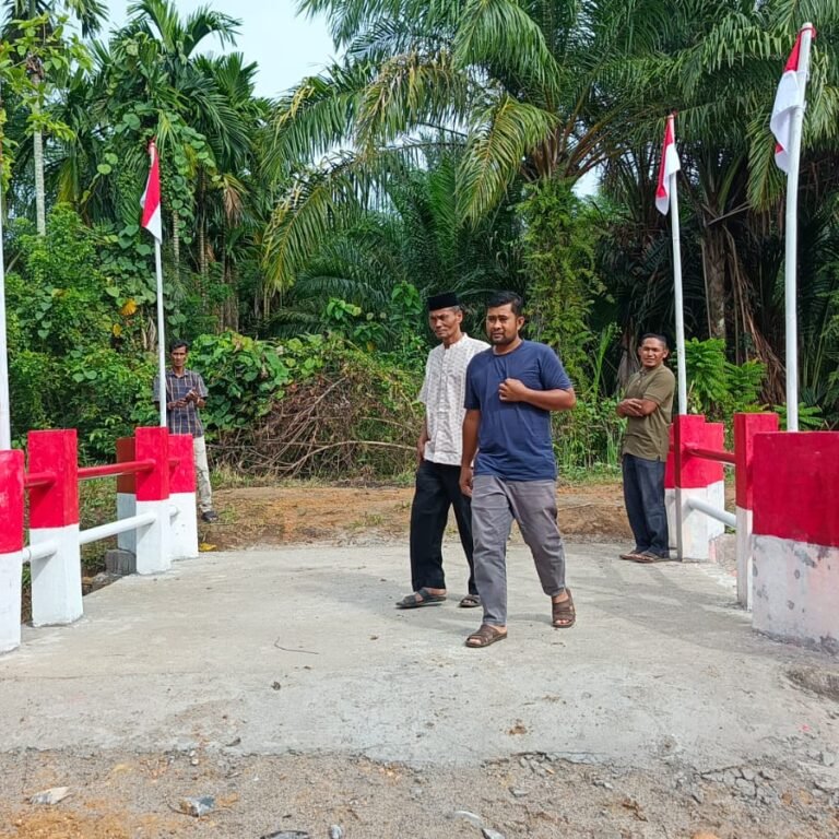 Satgas TNI AD Selesaikan Jembatan Kapa Seusak dalam Sepekan