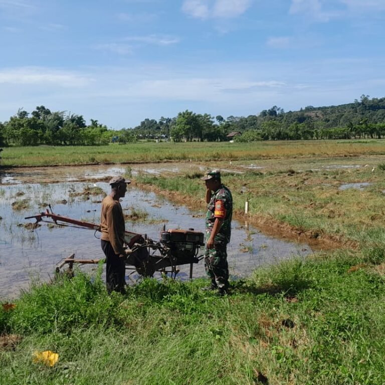 Babinsa Aceh Jaya Motivasi Petani Tingkatkan Produksi Pertanian Berkelanjutan