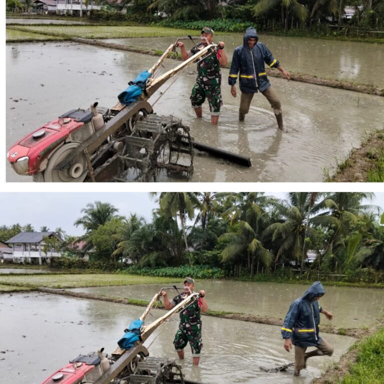 Kopka Sarwono Bantu Warga Bajak Sawah di Aceh Barat, Wujud Nyata Kemanunggalan TNI dan Rakyat