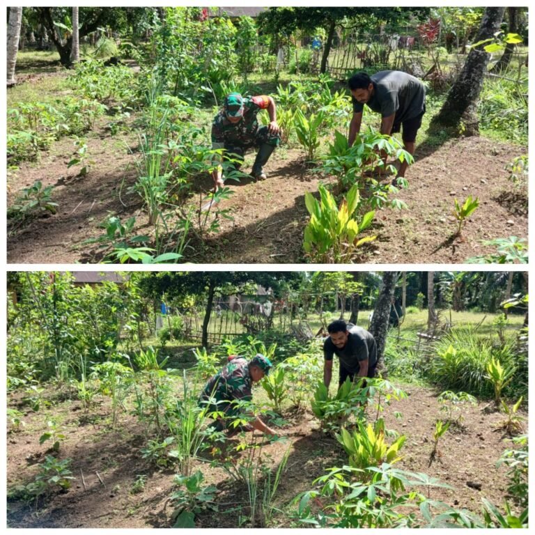 Kepedulian Babinsa Terhadap Petani Terlihat dalam Pembersihan Kebun Warga