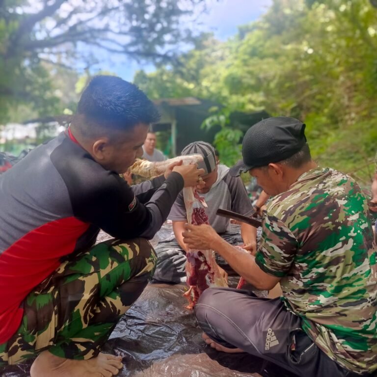 Wujud Rasa Syukur, Kodim 0114/Aceh Jaya Sembelih 1 Ekor Sapi di Momen Idul Adha 1447 Hijriyah