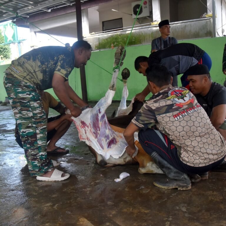 Kodim 1003/HSS Gelar Penyembelihan Hewan Kurban Dengan Standar Higienis