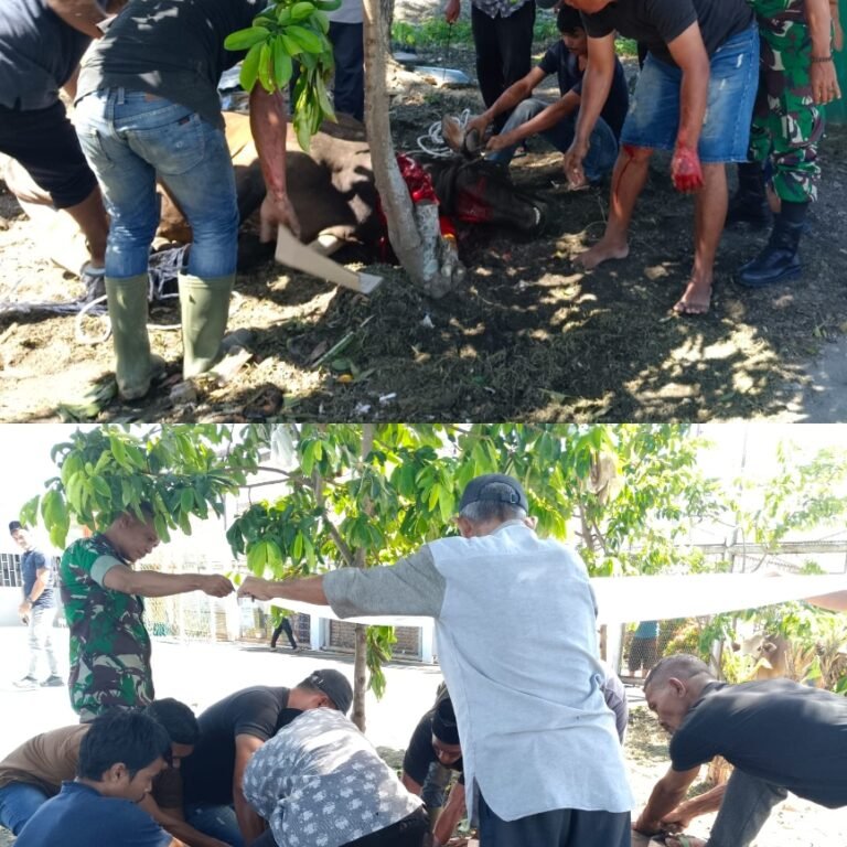 Kehadiran Babinsa Tambah Semangat Warga dalam Pelaksanaan Kurban