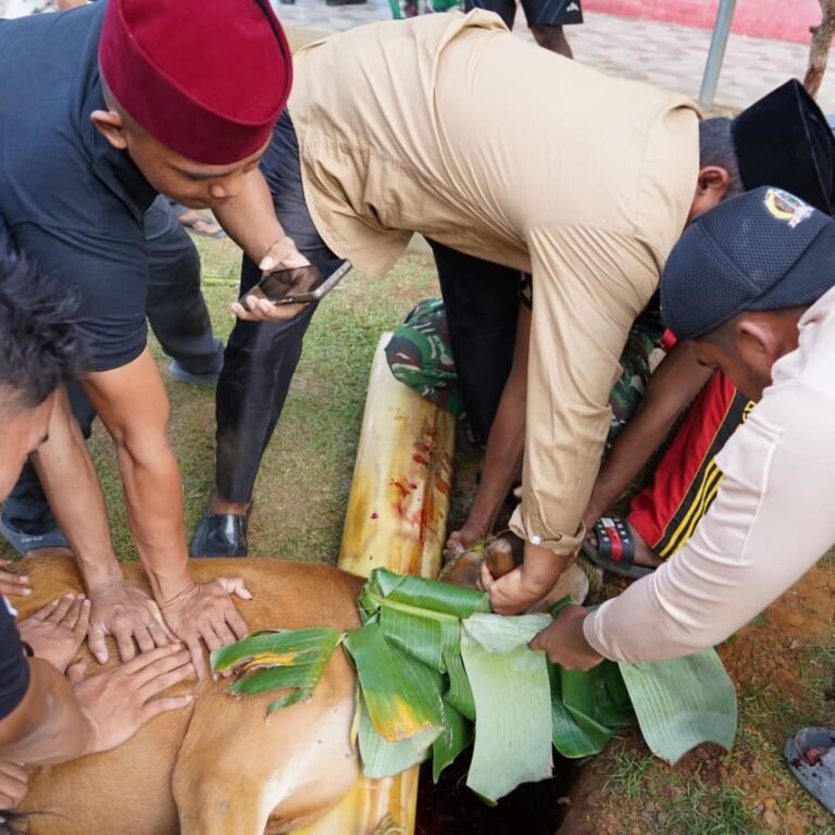 Suasana Kebersamaan Warnai Penyerahan Hewan Kurban Korem 174/ATW di Merauke