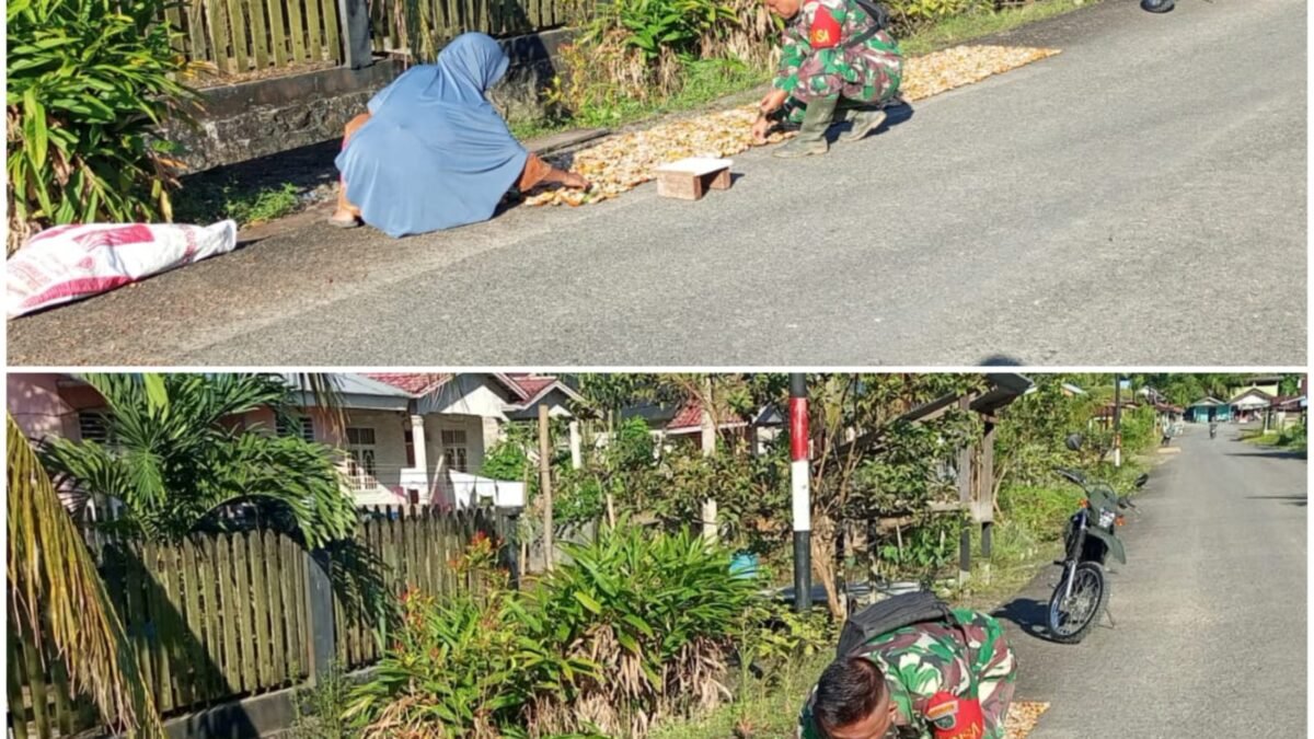 Pendampingan Pascapanen, Babinsa Bantu Petani Tingkatkan Mutu Gabah
