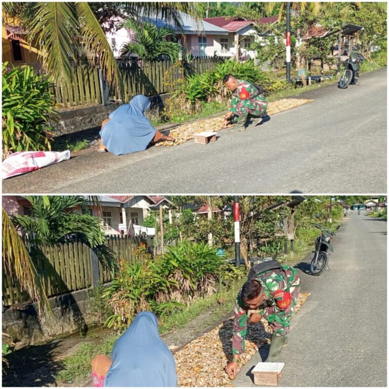 Pendampingan Pascapanen, Babinsa Bantu Petani Tingkatkan Mutu Gabah
