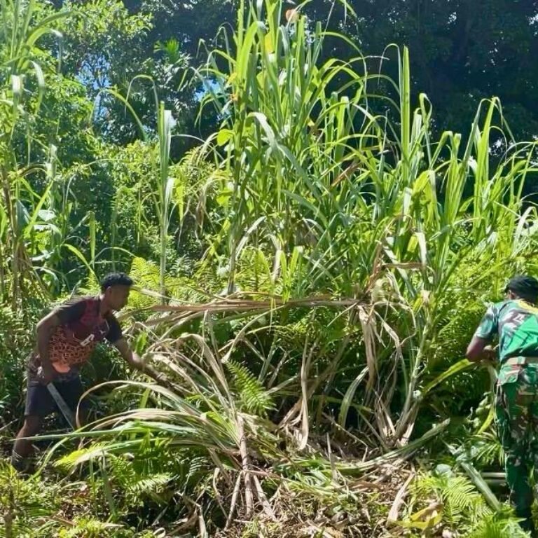 Yonif TP 859/RBK Dukung Persiapan Kegiatan Gereja Melalui Karya Bakti Bersama Warga