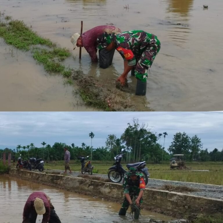 Babinsa dan Petani Gotong Royong Siapkan Lahan Pertanian di Desa Pungki