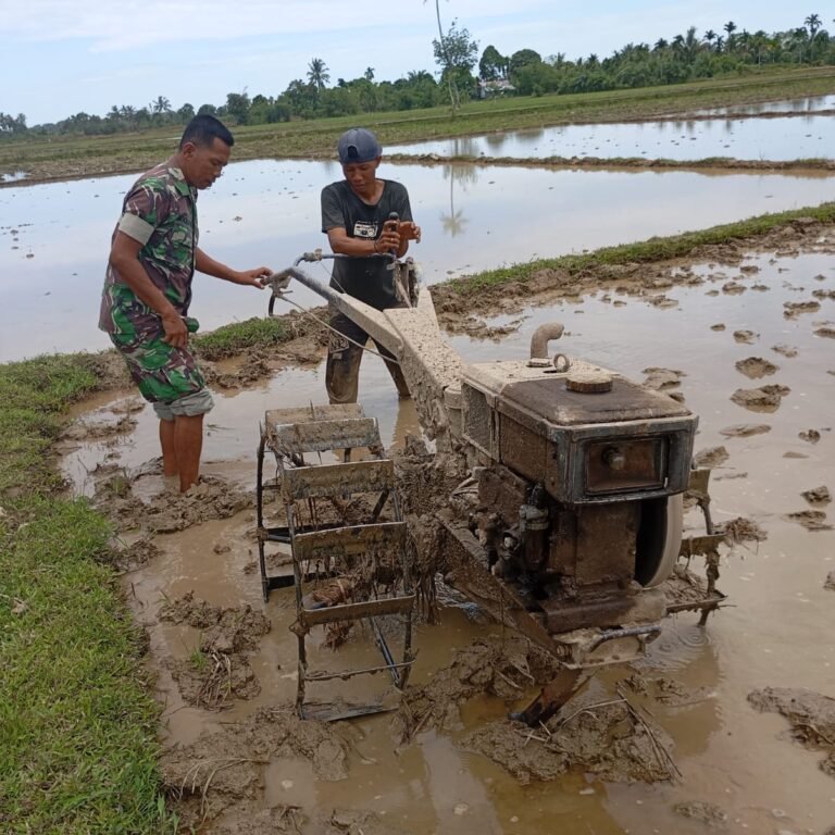 Seragam Loreng Berselimut Lumpur, Babinsa Tetap Semangat Bantu Petani di Sawah