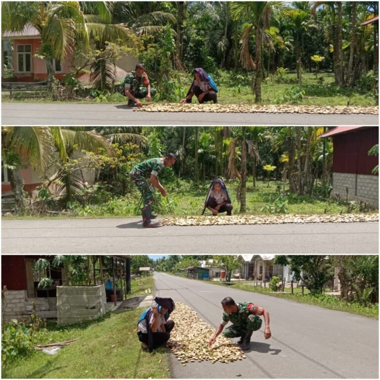 Babinsa Koramil 03/Teupah Selatan Perkuat Pendampingan Petani Pinang di Desa Labuan
