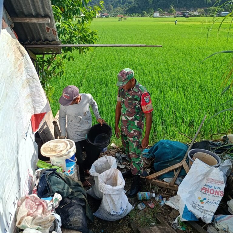 Babinsa Koramil Jaya Dampingi Petani Pemupukan Padi, Dukung Peningkatan Produksi Pangan di Aceh Jaya