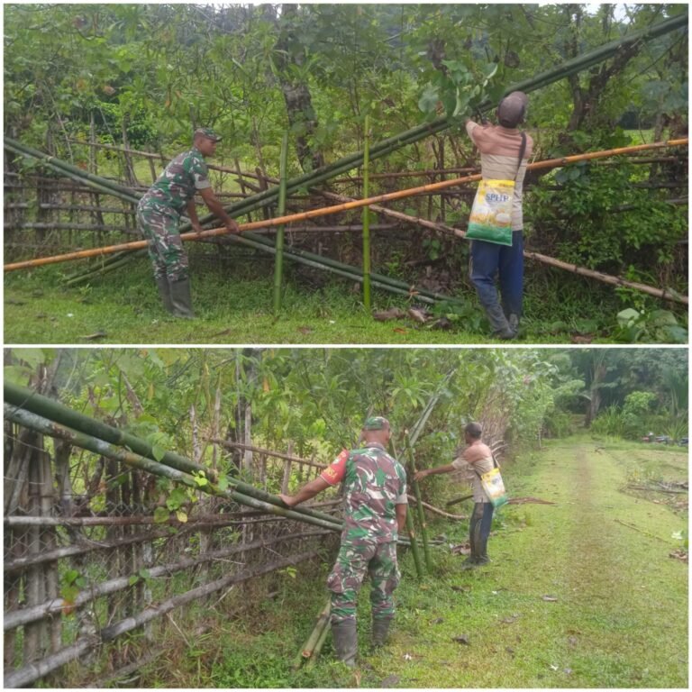 Wujud Kepedulian TNI, Babinsa Simeulue Dampingi Petani Perkuat Produktivitas Pertanian