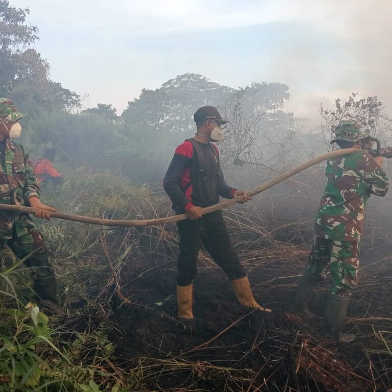 Solid dalam Aksi, Tim Gabungan Berjibaku Padamkan Api di Kecamatan Bubon