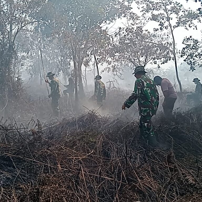 TNI Jajaran Korem 012/TU Bergerak Cepat Tangani Kebakaran Hutan dan Lahan di Aceh Barat