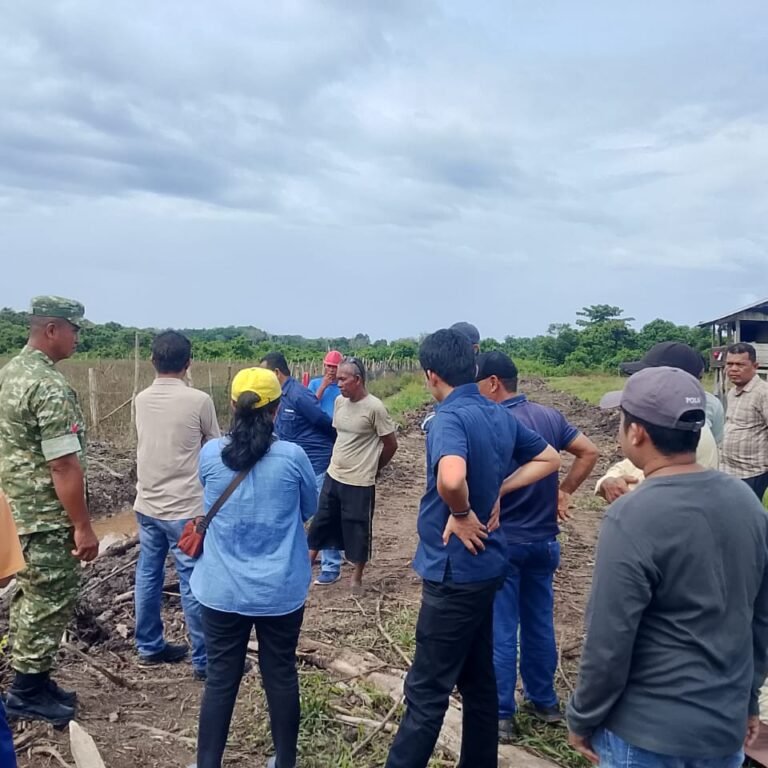 Dukung Program Ketahanan Pangan, Kegiatan MC 0 Cetak Sawah Dilaksanakan di Desa Tuwi Kareung