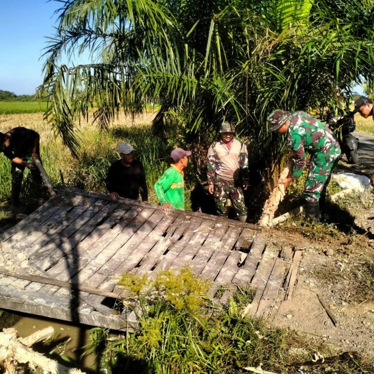 Jembatan Aramco Hadir di Telaga Sili Sili, Distribusi Hasil Panen Petani Kian Lancar