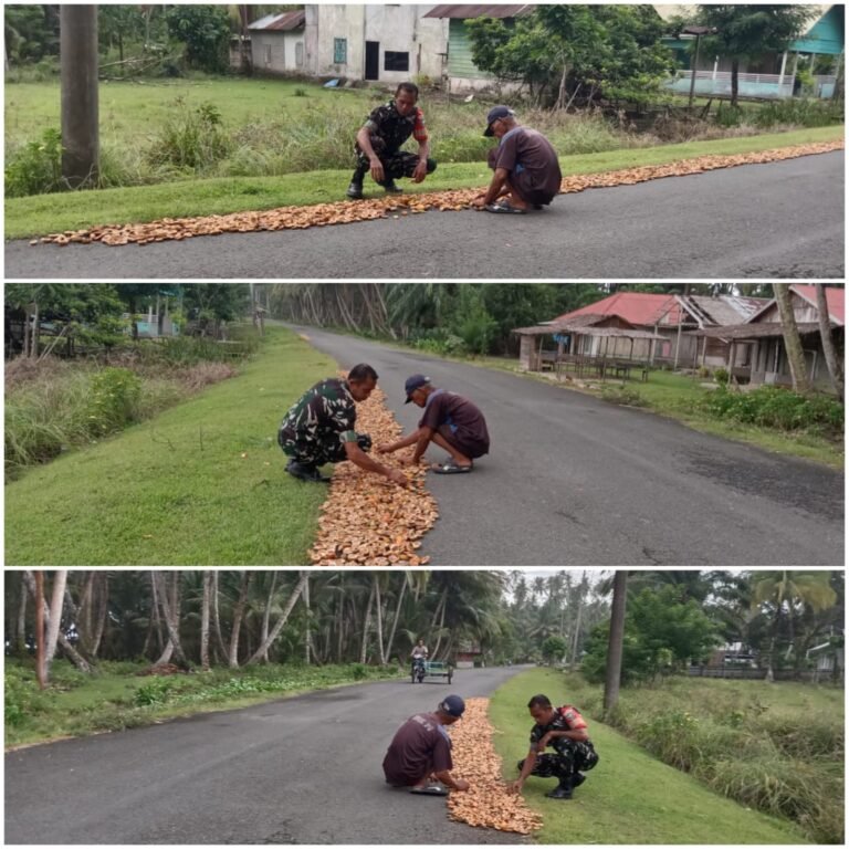Babinsa Kodim 0115/Simeulue Turun Langsung Bantu Petani Pinang Tingkatkan Kualitas Hasil Panen
