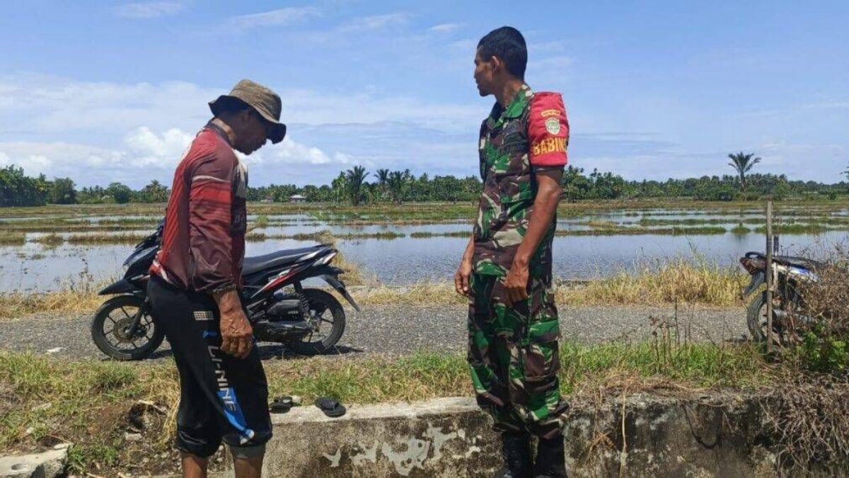 Babinsa Labuhan Haji Barat Dampingi Petani Siapkan Musim Tanam Padi di Aceh Selatan