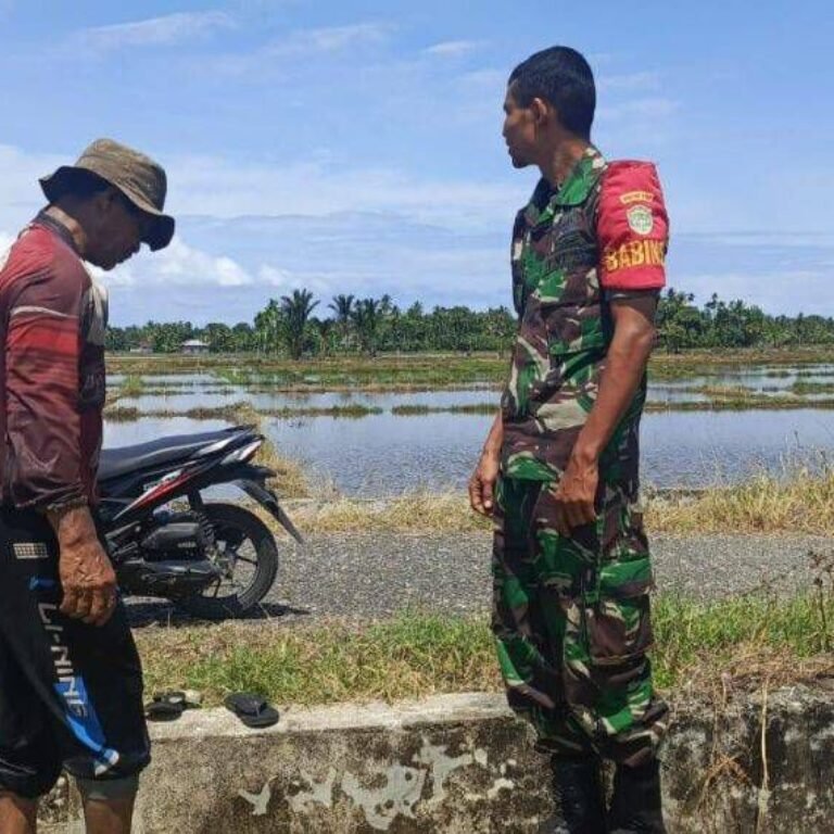 Babinsa Labuhan Haji Barat Dampingi Petani Siapkan Musim Tanam Padi di Aceh Selatan