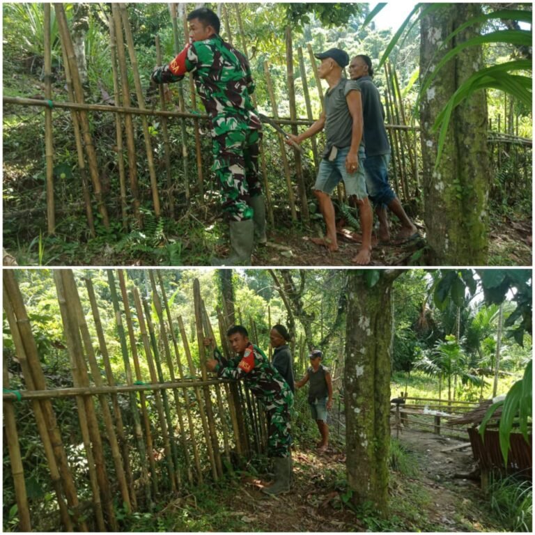 Dukung Swasembada Pangan, Babinsa Simeulue Bantu Petani Perbaiki Pagar Kebun di Desa Awe Kecil