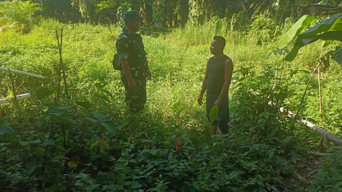 Babinsa Koramil 06/Teunom dan Posramil Pasi Raya Laksanakan Patroli Karhutla