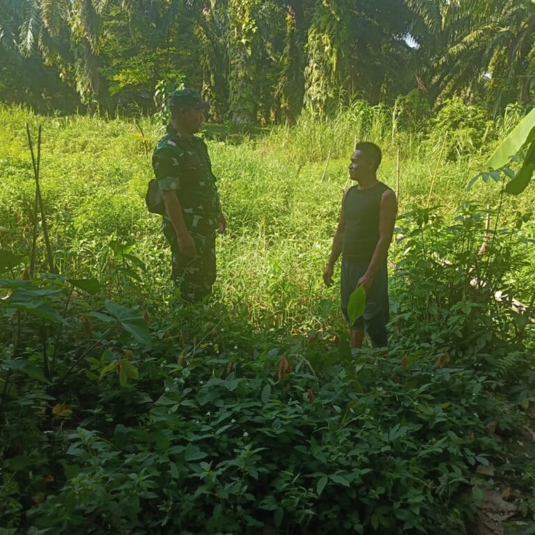 Babinsa Koramil 06/Teunom dan Posramil Pasi Raya Laksanakan Patroli Karhutla