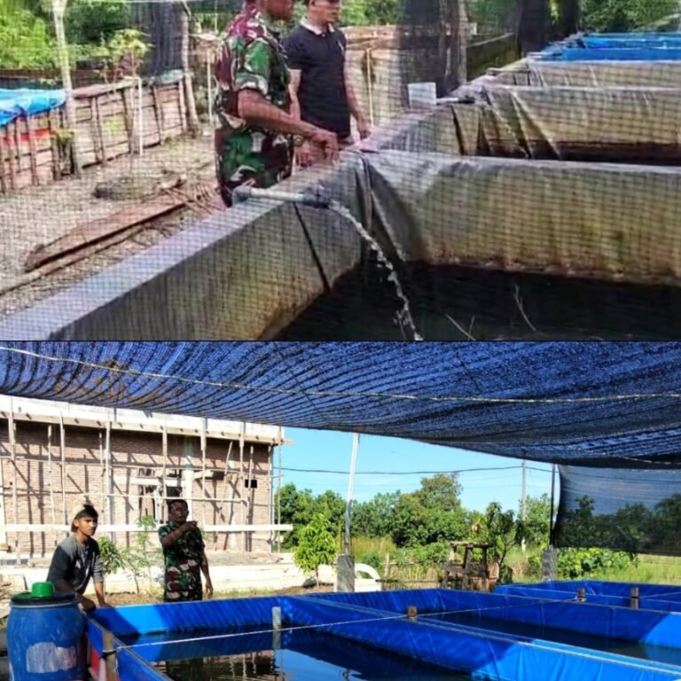 Budidaya Ikan Lele Jadi Penopang Makan Bergizi Gratis, Babinsa Turun Langsung Dampingi Warga