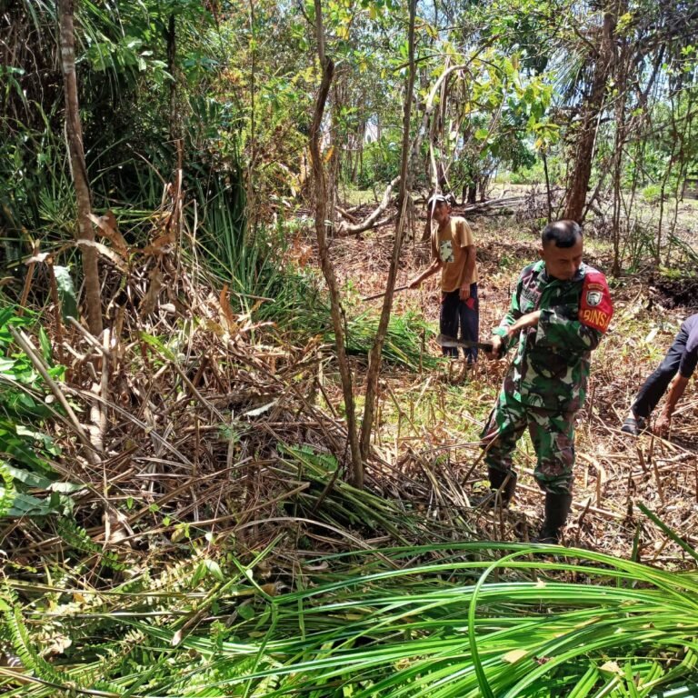 Dukung Swasembada Pangan, Babinsa Simeulue Aktif Buka Lahan Pertanian Baru