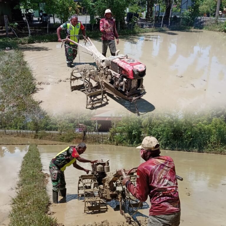 Babinsa Desa Pinem Akselerasi Persiapan Tanam Padi Melalui Pendampingan Pengolahan Lahan