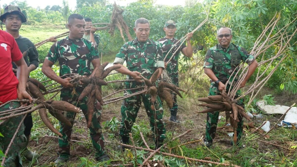 Panen Singkong di Korem 012/TU, Danrem 012/TU: Kolonel Inf Windarto