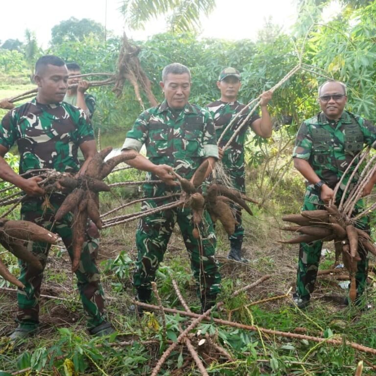 Panen Singkong di Korem 012/TU, Danrem 012/TU: Kolonel Inf Windarto