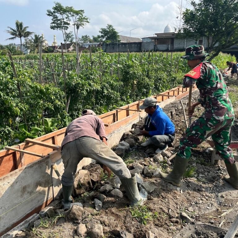 Koptu Edi H. Babinsa Desa Krisik Turun Langsung Ke Lapangan