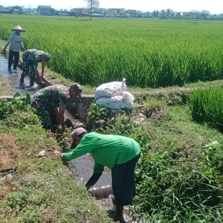 Serma Aminoto: Babinsa yang Mengabdi untuk Ketahanan Pangan Masyarakat