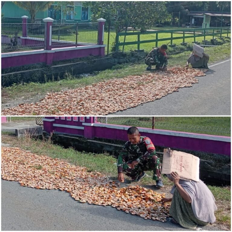 Optimalkan Sektor Pertanian Desa Kampung Air Babinsa Kodim 0115 Sml Bantu Jemur Hasil Panen Pinang Warga