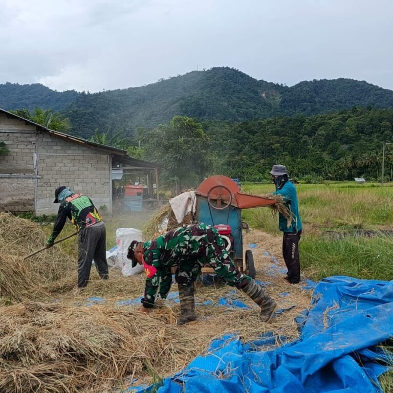 Kodim 0107/Aceh Selatan Dukung Petani dengan Serapan Gabah